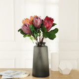 2021Wedding decoration flowers South African tropical plants high grade large imperial flowers