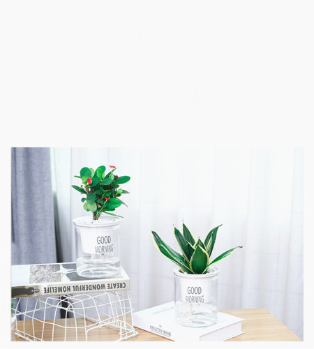 Lazy Automatic Water-absorbing Flower Pot Transparent Plastic Hydroponic Flower Pot Creative Resin Succulent Plant Pot