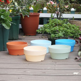 Thicken Flower Pots Plastic Pots Creative Small Circle Pots for Succulent plants 5 Colors Available