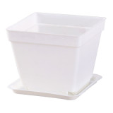 Creative E-friendly Biodegradable Seqaure Colorful Plastic Plant Pots Succulent Flower Pots With Saucer Plant Pots
