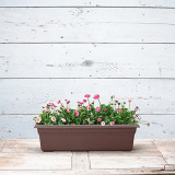 Automatic Water-Absorbing Lazy Flower Pot Family Balcony Plastic Flower Pot Green Sill Potted Planting