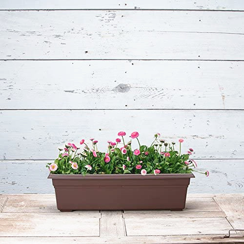Automatic Water-Absorbing Lazy Flower Pot Family Balcony Plastic Flower Pot Green Sill Potted Planting