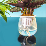 Transparent Plastic Lazy Flower Pot Creative Simple Automatic Water Absorption Flower Pot Succulent Flower Pot