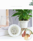 Factory Direct Sales Lazy Flower Pot Full Transparent Creative Plastic Flower Pot Automatic Water Absorption Flower Pot