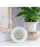 Factory Direct Sales Lazy Flower Pot Full Transparent Creative Plastic Flower Pot Automatic Water Absorption Flower Pot