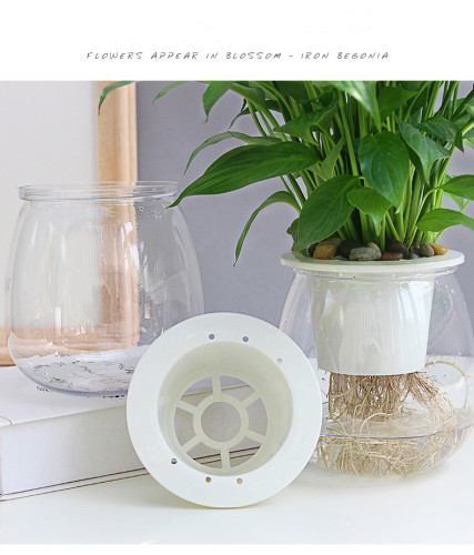 Factory Direct Sales Lazy Flower Pot Full Transparent Creative Plastic Flower Pot Automatic Water Absorption Flower Pot
