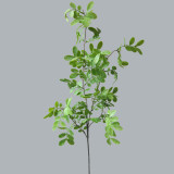 2021Citrus leaf home decoration flower arrangement with materials photography props simulation Sophora leaf