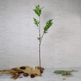 202Manufacturers wholesale simulated plant indoor flower arrangement ornaments, high branches and tender leaves