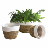 Straw Flowerpots Succulent Potted Plants Family Green Plants Seaweed Woven Handmade Crafts Woven Basket