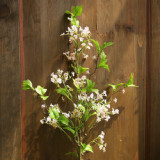 2021Green leaves decorate hazy smoke ornaments large branches simulate pearl flowers