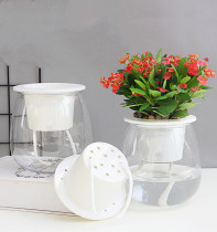 Lazy Automatic Water-absorbing Flower Pot Transparent Plastic Hydroponic Flower Pot Creative Resin Succulent Plant Pot