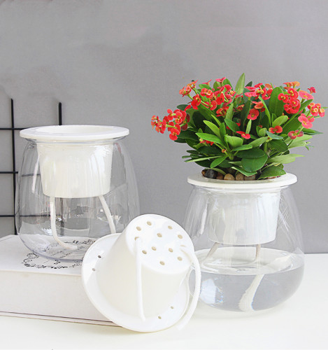 Lazy Automatic Water-absorbing Flower Pot Transparent Plastic Hydroponic Flower Pot Creative Resin Succulent Plant Pot