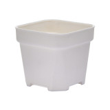 Mini Square Plastic Plant Flower Pot Home Office Decor Planter Colorful With Pots Trays Green Plant Artificial