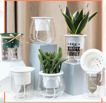 Factory Direct Sales Lazy Flower Pot Full Transparent Creative Plastic Flower Pot Automatic Water Absorption Flower Pot