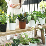 Factory Price Hot Selling Outdoor Colorful Plastic Flowerpot Garden Plant Pots Wholesale
