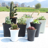 Plastic Octagon Flower Pot Home Garden Office Desk Succulent Plant Pot Matt Glossy Garden Decoration Pots