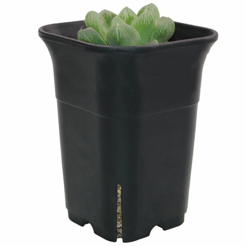 Plastic pot  for nursery