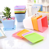 Creative E-friendly Biodegradable Seqaure Colorful Plastic Plant Pots Succulent Flower Pots With Saucer Plant Pots