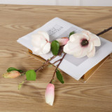 2021The living room is decorated with plants wedding home photography and new imitation magnolias