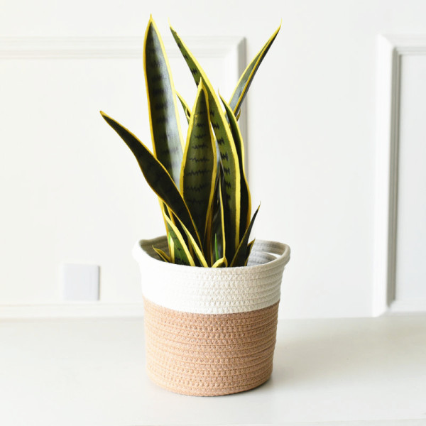 20cm Cotton Woven Flower Pot Storage Basket Crafts Storage Basket Green Plant Potted Basket