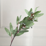 2021Living room indoor furnishings simulation with fruit Eucalyptus branches and leaves