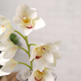 2021Manufacturer direct sales simulation desktop living room home decoration bonsai 7 Cymbidium