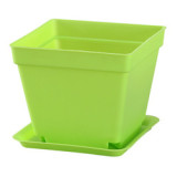 Creative E-friendly Biodegradable Seqaure Colorful Plastic Plant Pots Succulent Flower Pots With Saucer Plant Pots