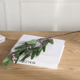 2021Living room indoor furnishings simulation with fruit Eucalyptus branches and leaves