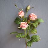2021Retro home and guest house decoration photography material simulation silk dry flower rose