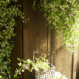 2021Green leaves decorate hazy smoke ornaments large branches simulate pearl flowers