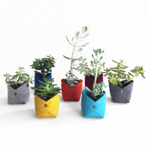 Plant Grow Bag New Home Decorations Flower Basket Fleshy Pot Thicken Garden Pot Garden Non-Woven Flower Pot