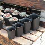 Plastic pot  for nursery