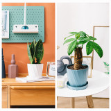 Factory Direct Sale Simple Creative Plastic Flower Pot Round Thick Large Flower Pot Resin Plastic Set Wholesale