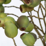 2021Wholesale simulation wild fruit branch decorative flower bonsai decoration display flower art