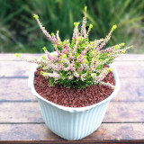 Pots Plant Flower Resin Wholesale Imitation Ceramic Flower Pot Resin Flower Pots Resin Home Garden