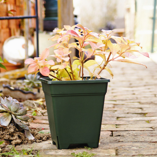 Special offer Castle Peak Root Control Rose Pot Plastic Square Flower Pot Wire Gallon Pot Breathable Root