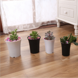 White Round PP Plastic Flower Pot Succulent Vientiane Orchid Plant Frosted High Waist Pot Black