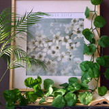 2021Wall hanging plant vine decoration ceiling pipe winding green plant simulation green rose