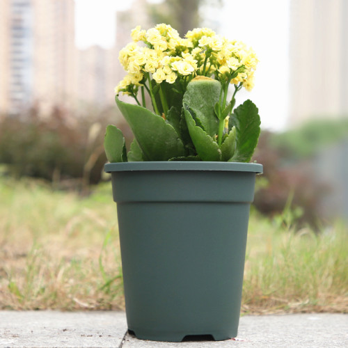 Factory Customized Round Plastic Root Control Flower Pot Breathable Flower Pot Balcony Outdoor Green Plant Flower Pot