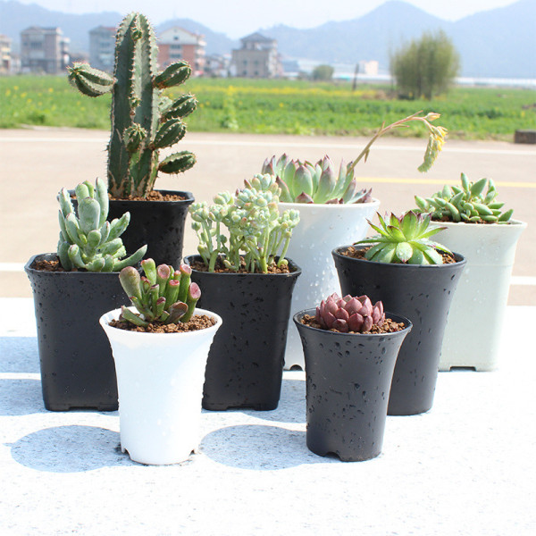 Plastic Octagon Flower Pot Home Garden Office Desk Succulent Plant Pot Matt Glossy Garden Decoration Pots