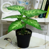 Stylish Wholesale Artificial Plant Plastic Plant Indoor Decoration Pot For Fake  Plants Plastic