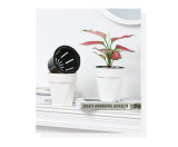 Wholesale Plastic Indoor And Outdoor Flowerpots Office Tables Succulent Hydroponics Potted Plants