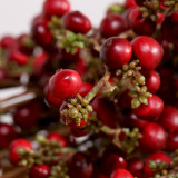 2021Factory direct home decoration simulation green plant holly fruit