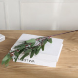 2021Living room indoor furnishings simulation with fruit Eucalyptus branches and leaves