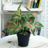 Stylish Wholesale Artificial Plant Plastic Plant Indoor Decoration Pot For Fake  Plants Plastic
