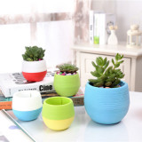 Creative Colorful Cartoon Plastic Flowerpot Succulent Plant Pot Round Mini Lazy Flower Pot