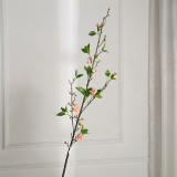 The living room dining table is decorated with flower arrangement and bonsai. New Chinese Spring Begonia flowers