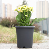 Factory Customized Round Plastic Root Control Flower Pot Breathable Flower Pot Balcony Outdoor Green Plant Flower Pot