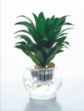 Transparent Plastic Flower Pots Hydroponic Plants Hydroponic Aquarium Living Room Home Gardening Home Decor Flower Pots