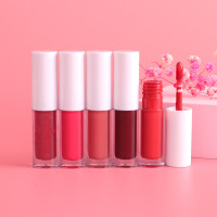 Drivworld 2021 new transparent tube white cover shiny moisturizing lip gloss moisturizing velvet matte lip gloss non-stick cup